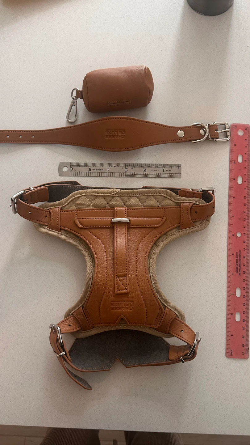 Dog Harness, Collar, Poopbag Holder Set