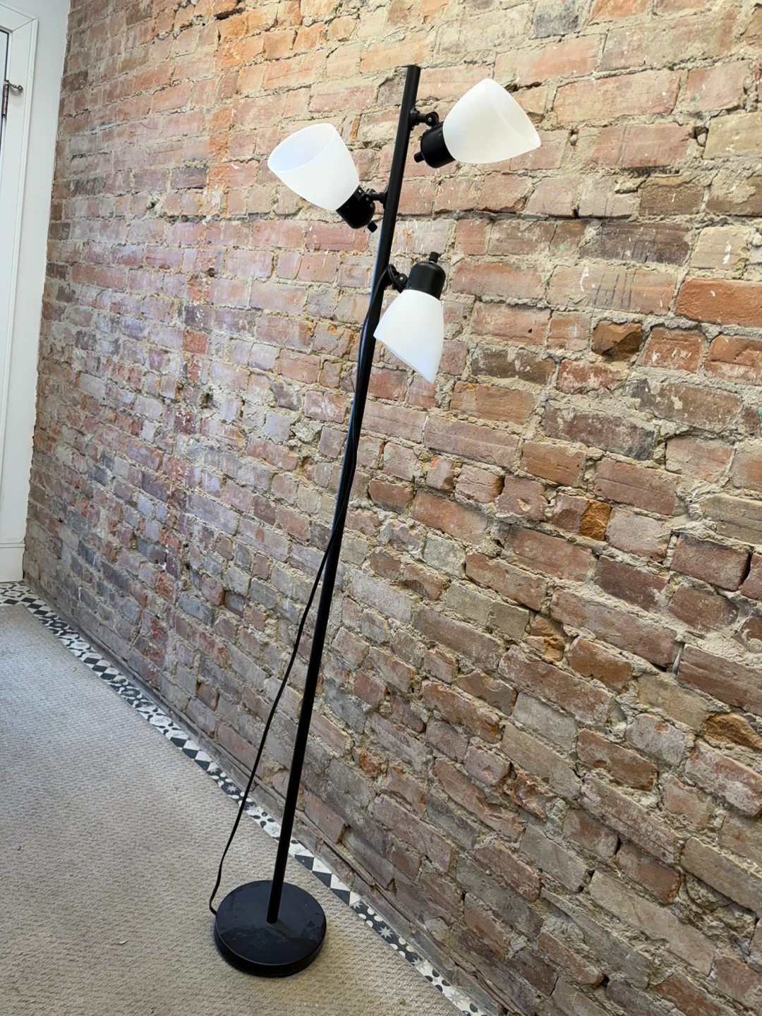 Black Floor Lamp with 3 Adjustable Spotlights