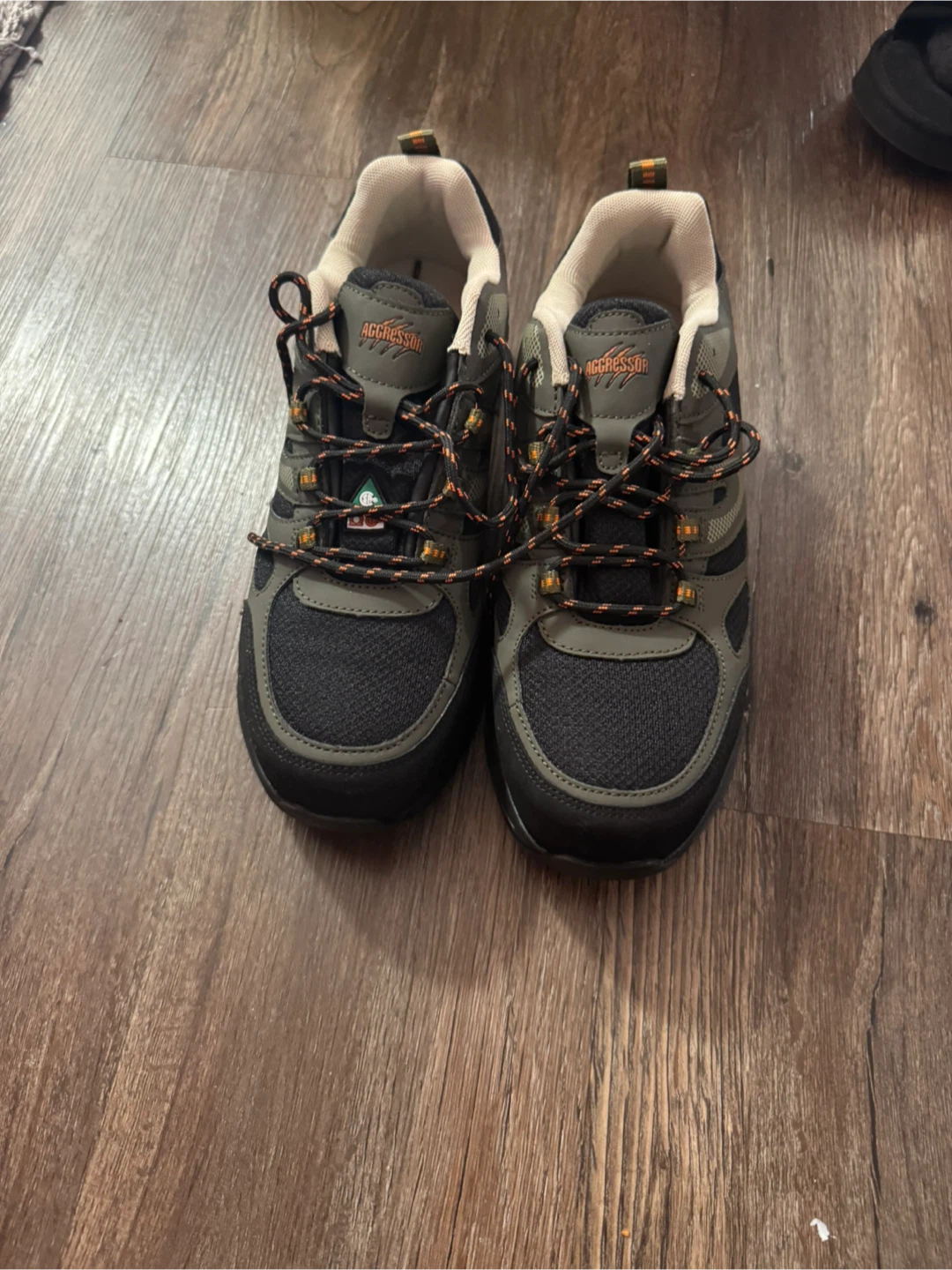 AGGRESSOR Size 11 Men's Hiking Boots
