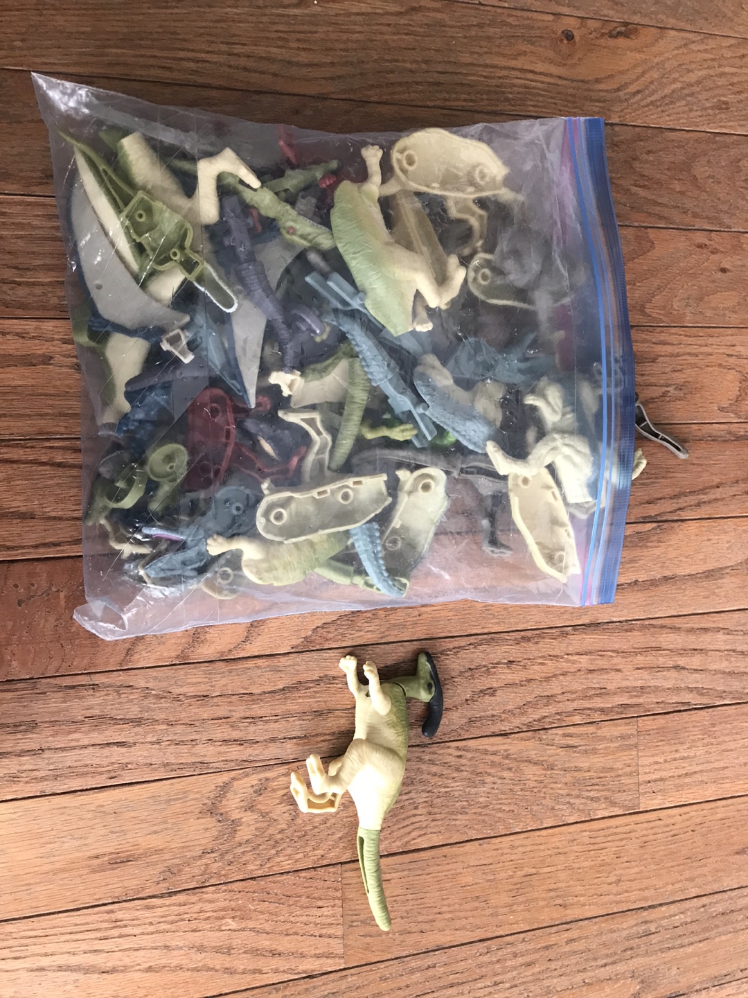 Bag of Toy Dinosaurs