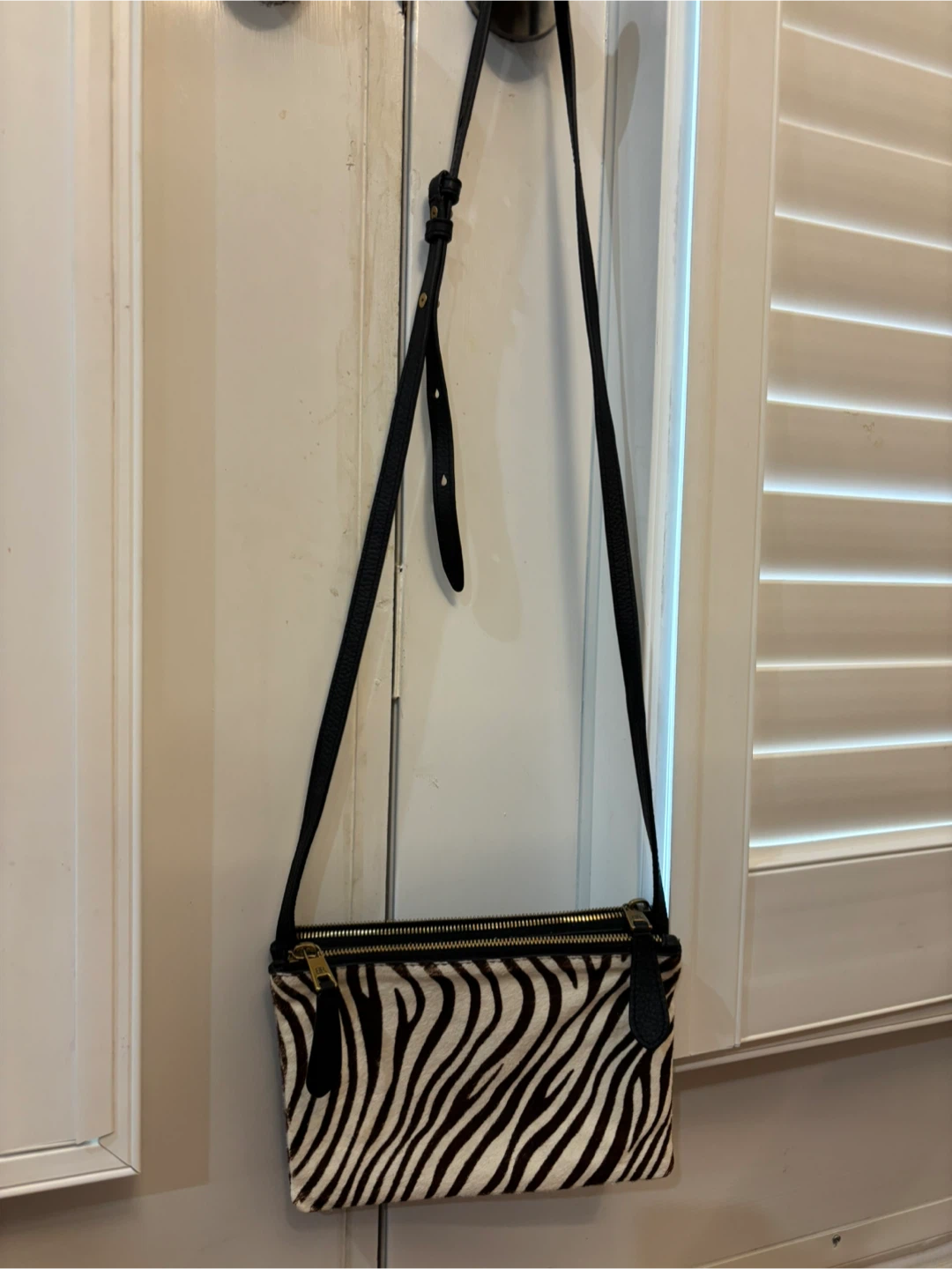 Banana Republic zebra crossbody