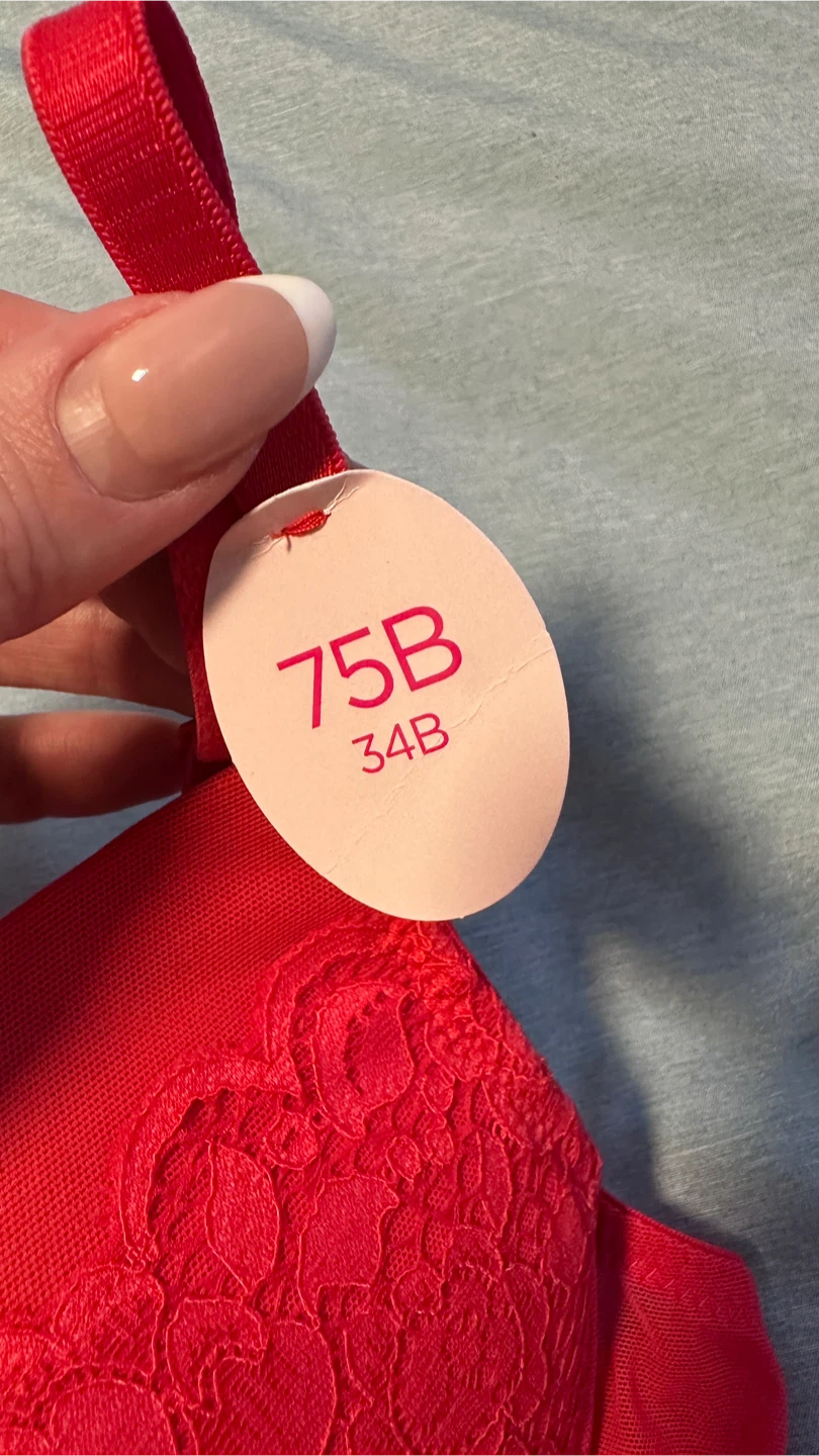 Penti Red Lace Bra & Brazilian Set — New with Tags (34B / S) - photo 2