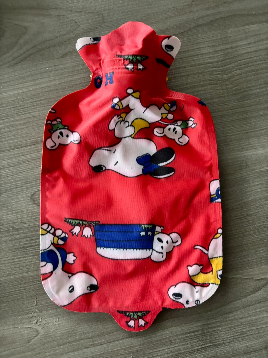 Set of 2 Cartoon Hot Water Bottles - photo 4