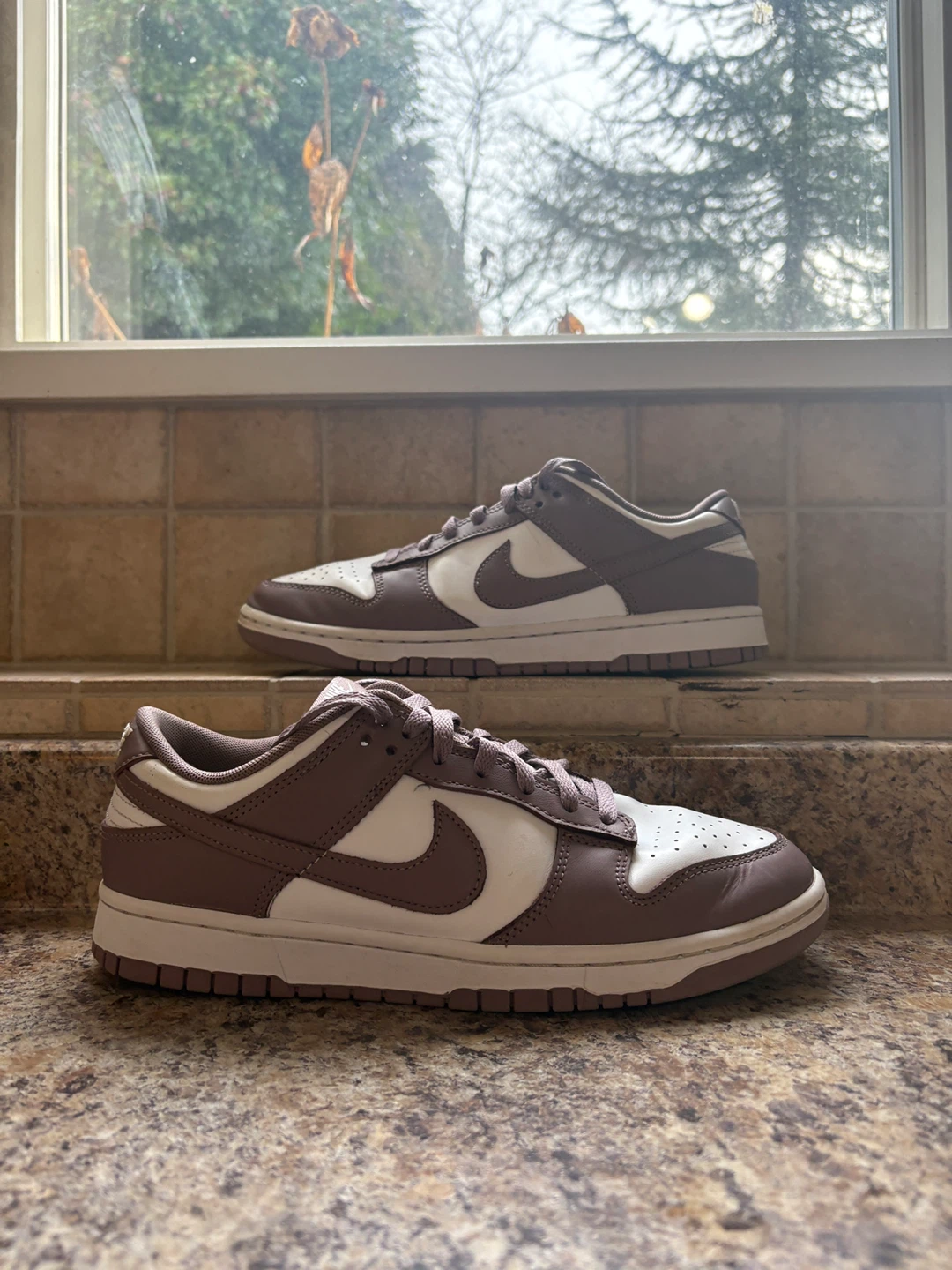 Nike Dunk Low Violet Ore