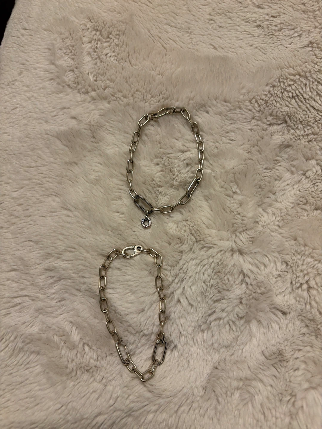 Pandora Charm Bracelet