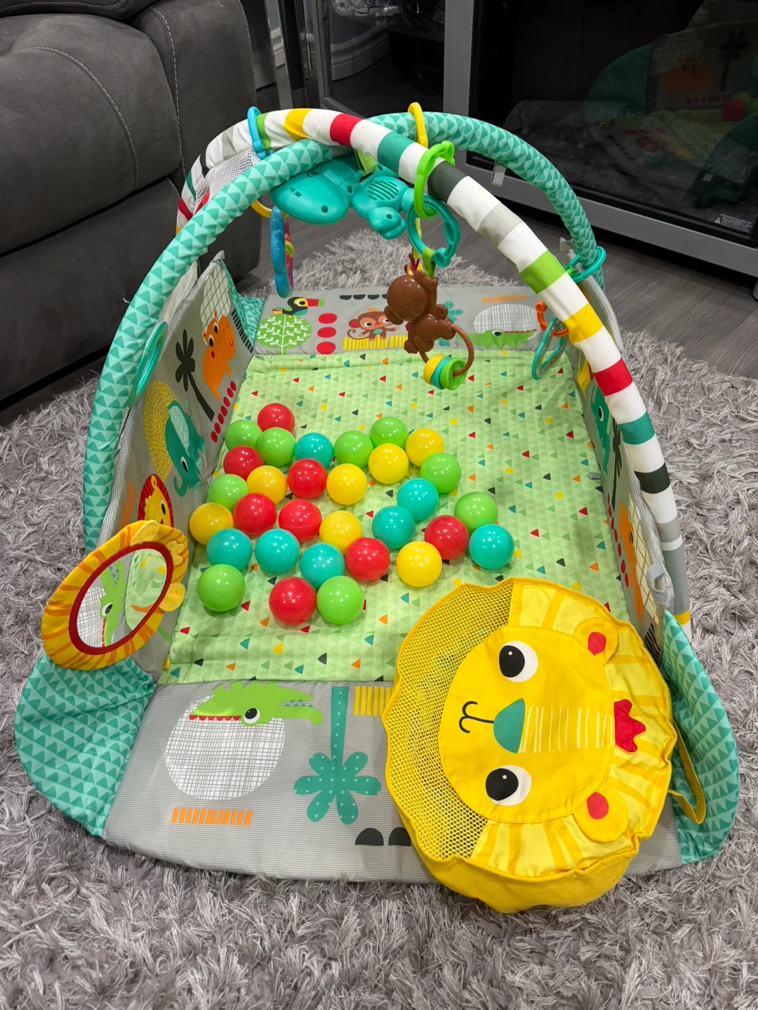 Baby Activity Play Gym with Ball Pit - photo 3