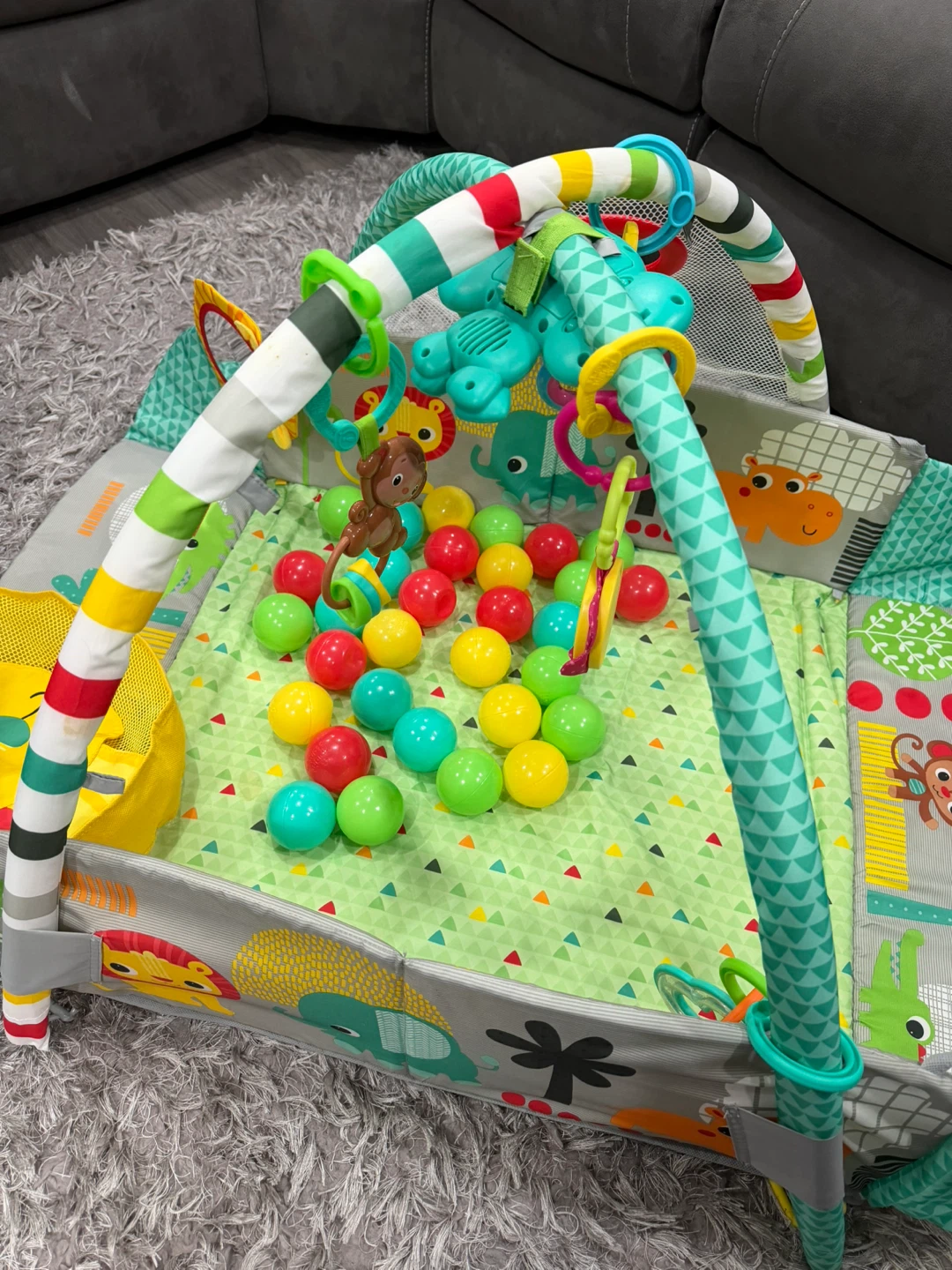 Baby Activity Play Gym with Ball Pit