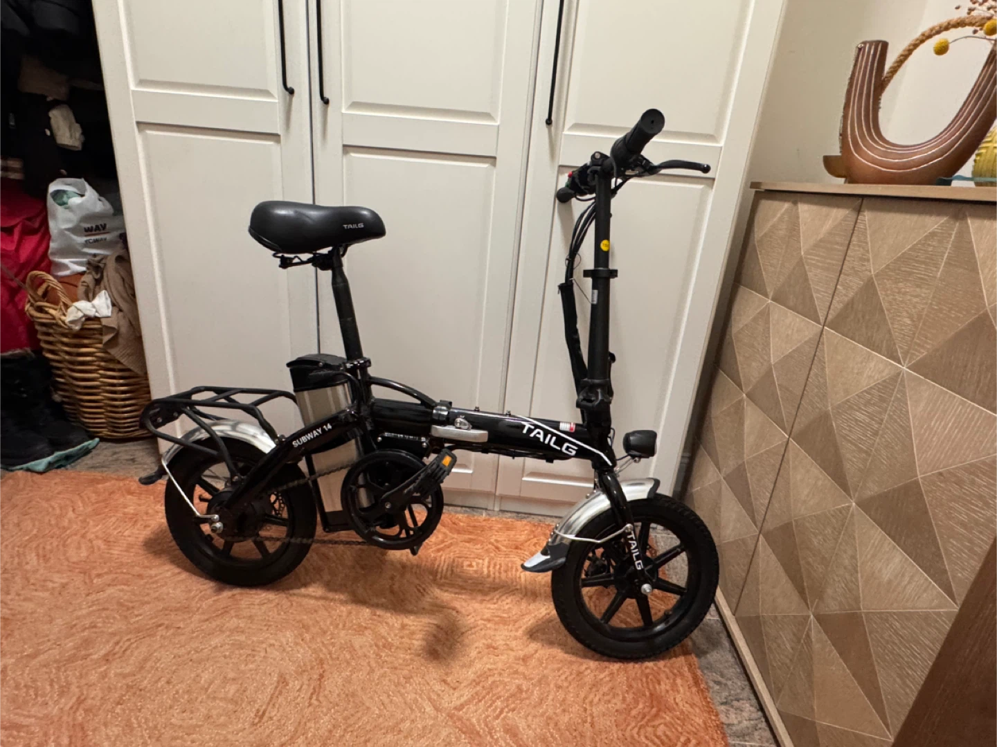 TAILG Subway 14 Folding Electric Bike