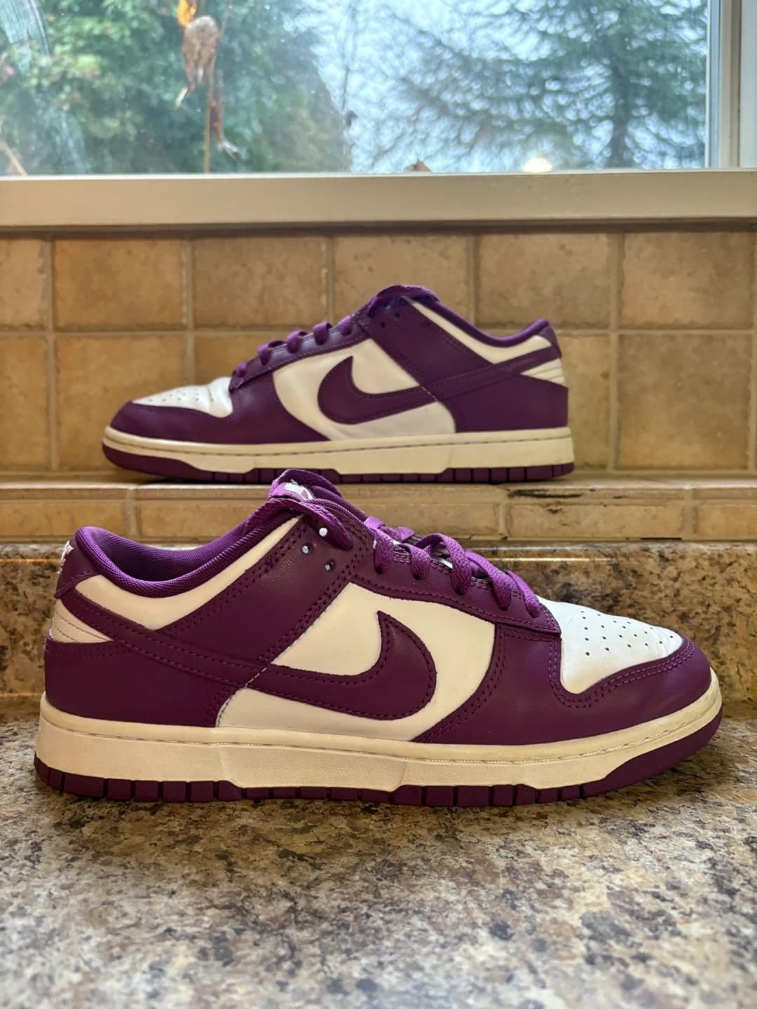 Nike Dunk Low Purple White Shoes
