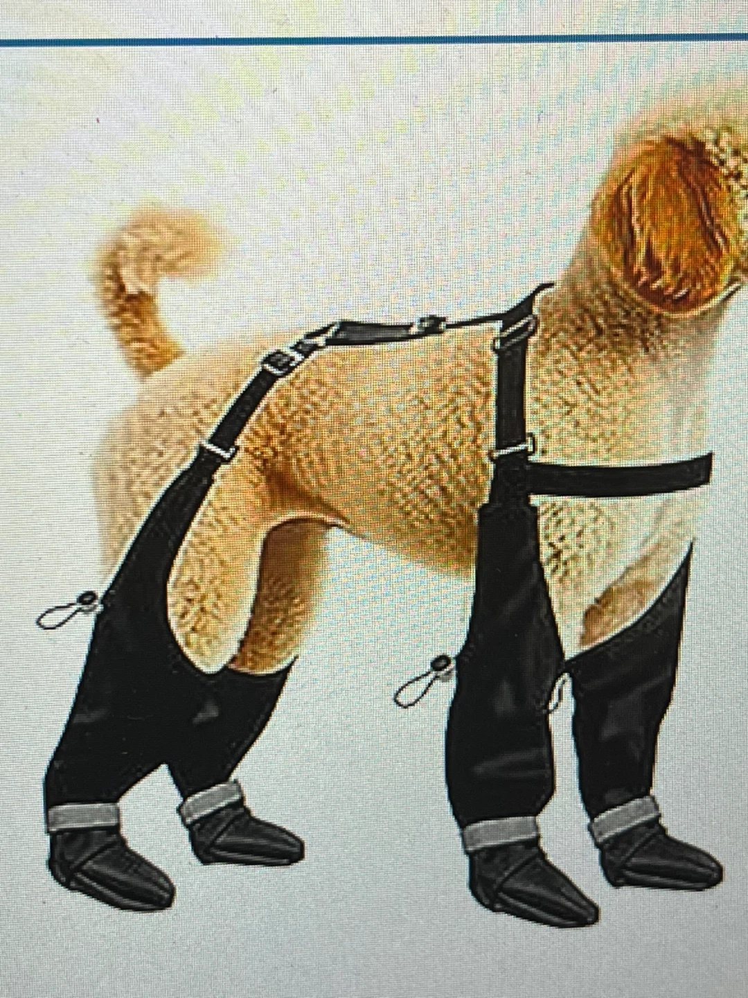 Black Dog Snow Pants with Boots - photo 2