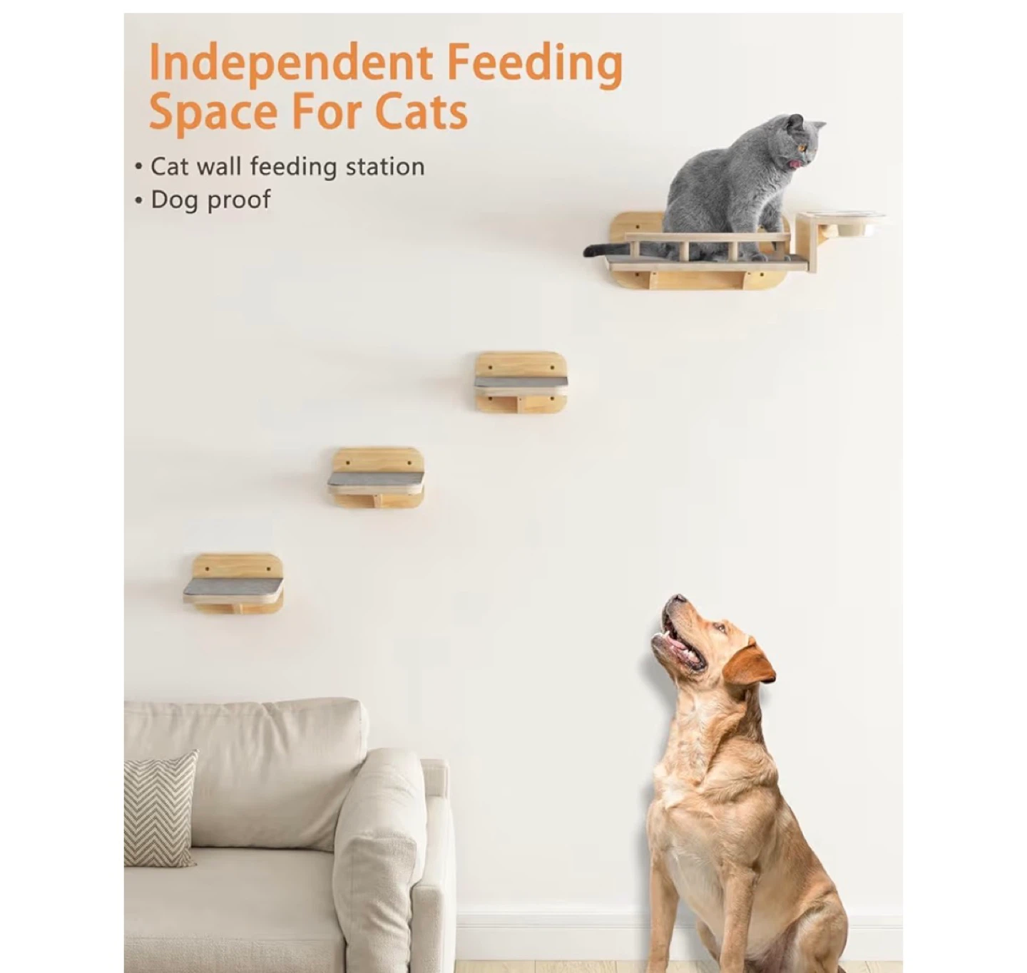 Cat Wall Feeding Station & Steps - photo 2