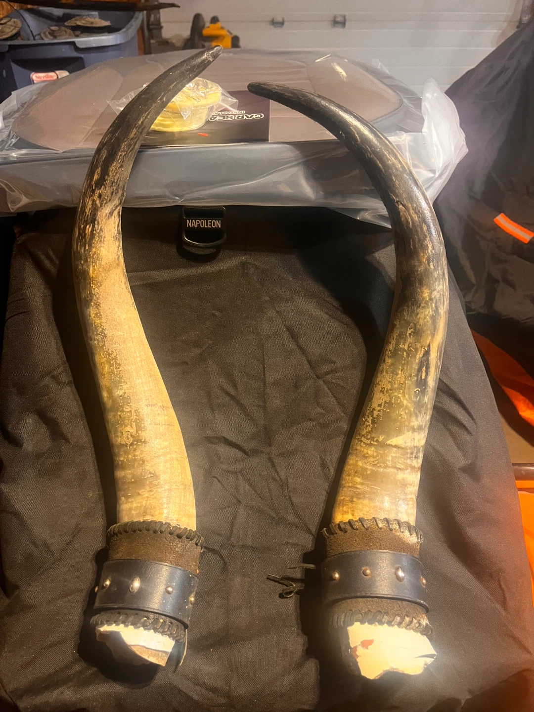 Decorative Texas long Horns Set