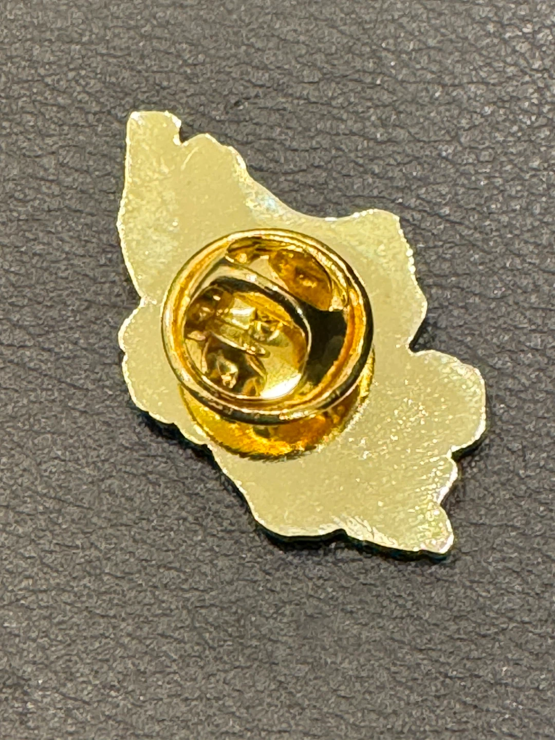 Iran Map Enamel Pin with Flag - photo 2