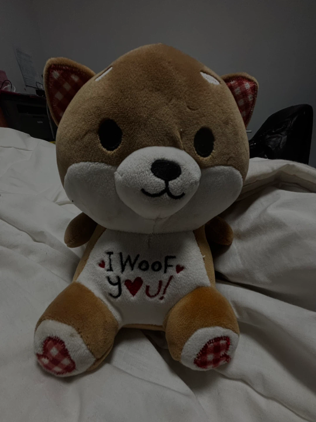 Plush Dog Toy