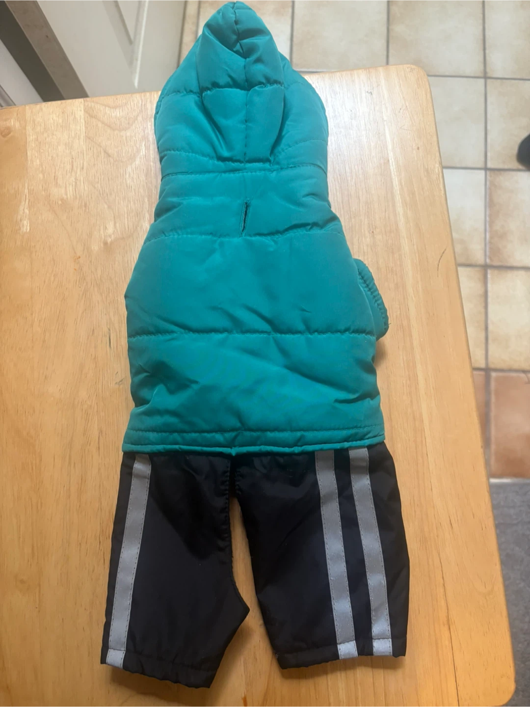 Companion Collection Dog Winter Coat - Teal - X-Small