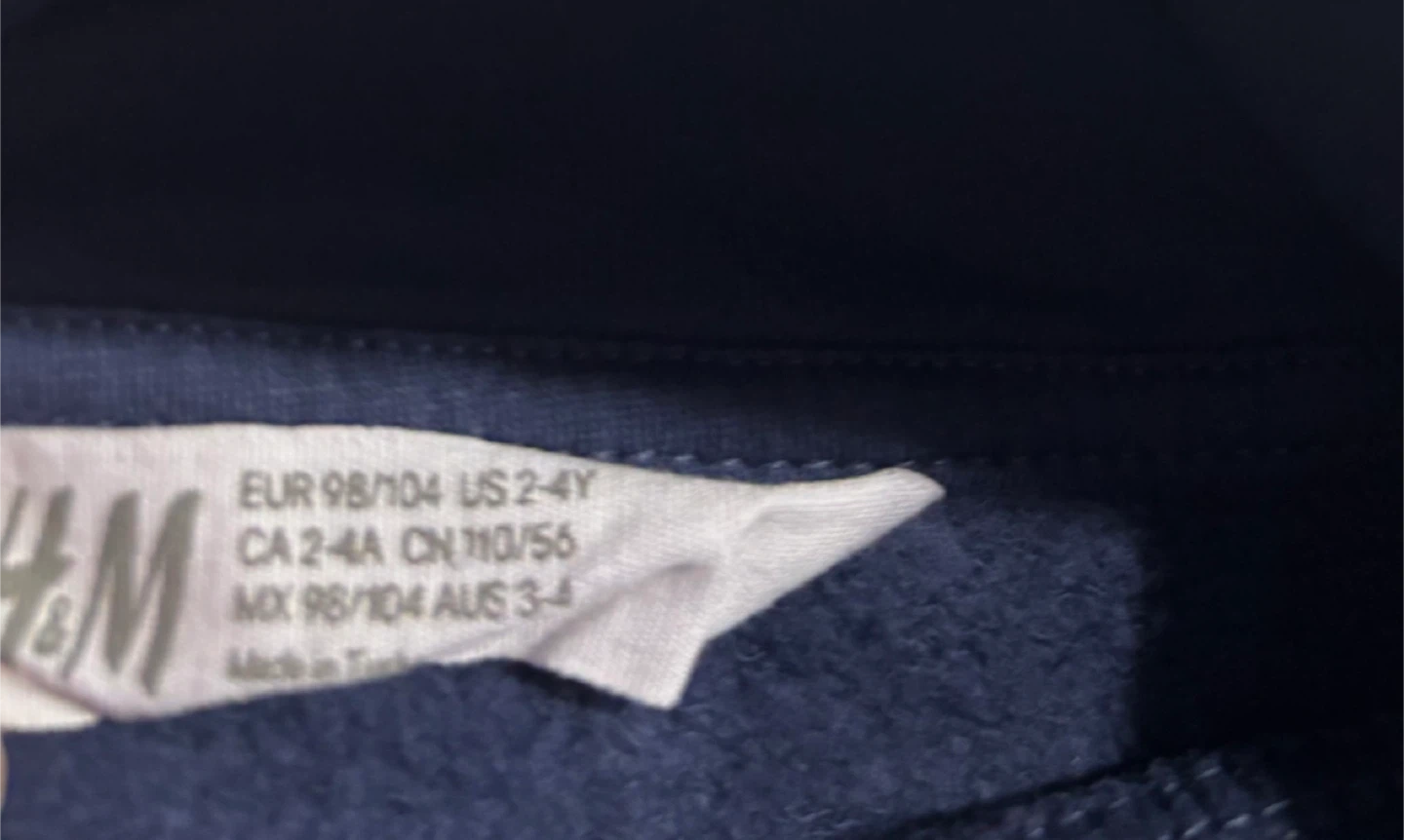 H&M Kids Navy Tyrannosaurus Rex Hoodie 2-4Y - photo 2