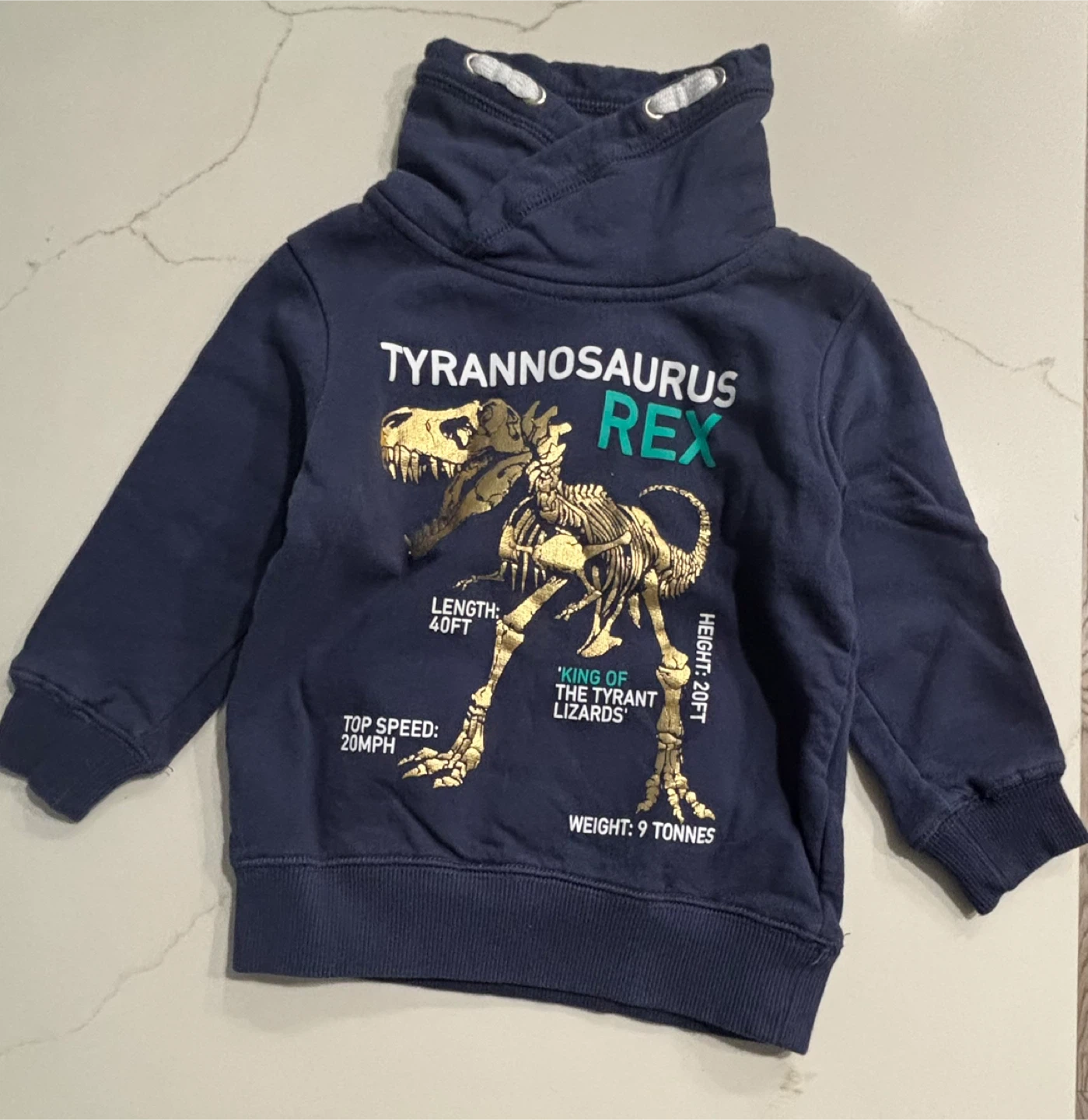 H&M Kids Navy Tyrannosaurus Rex Hoodie 2-4Y