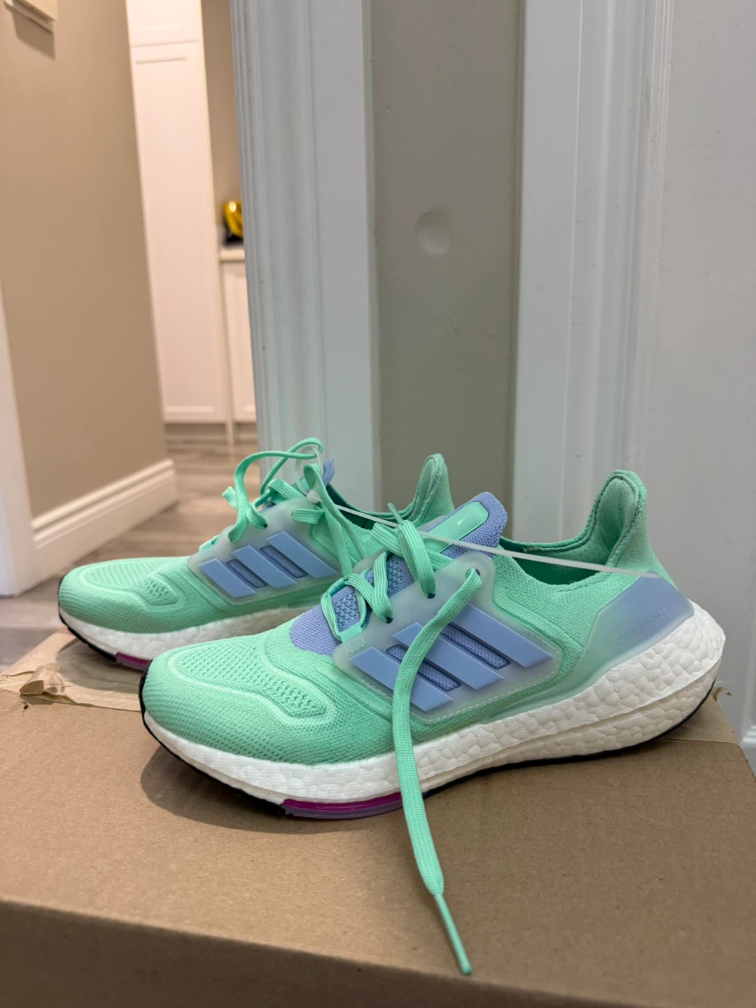 Adidas Ultraboost Running Shoes