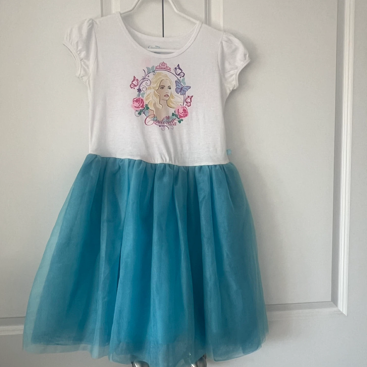 Cinderella Tutu Dress