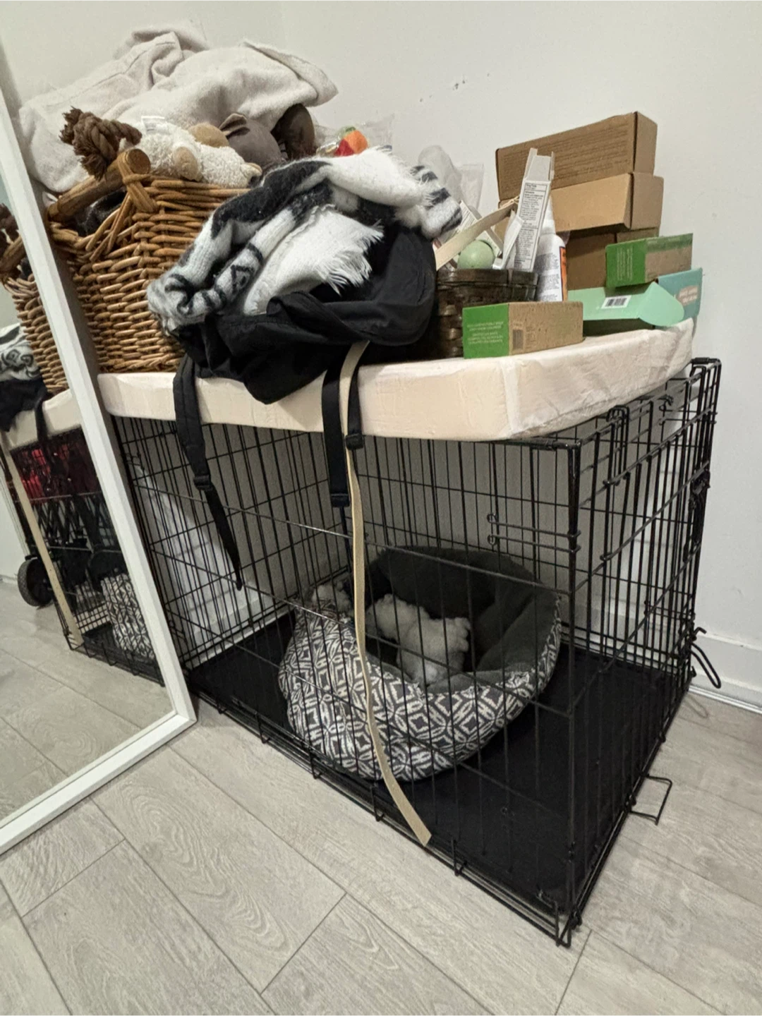 Black Metal Dog Crate with Pet Bed