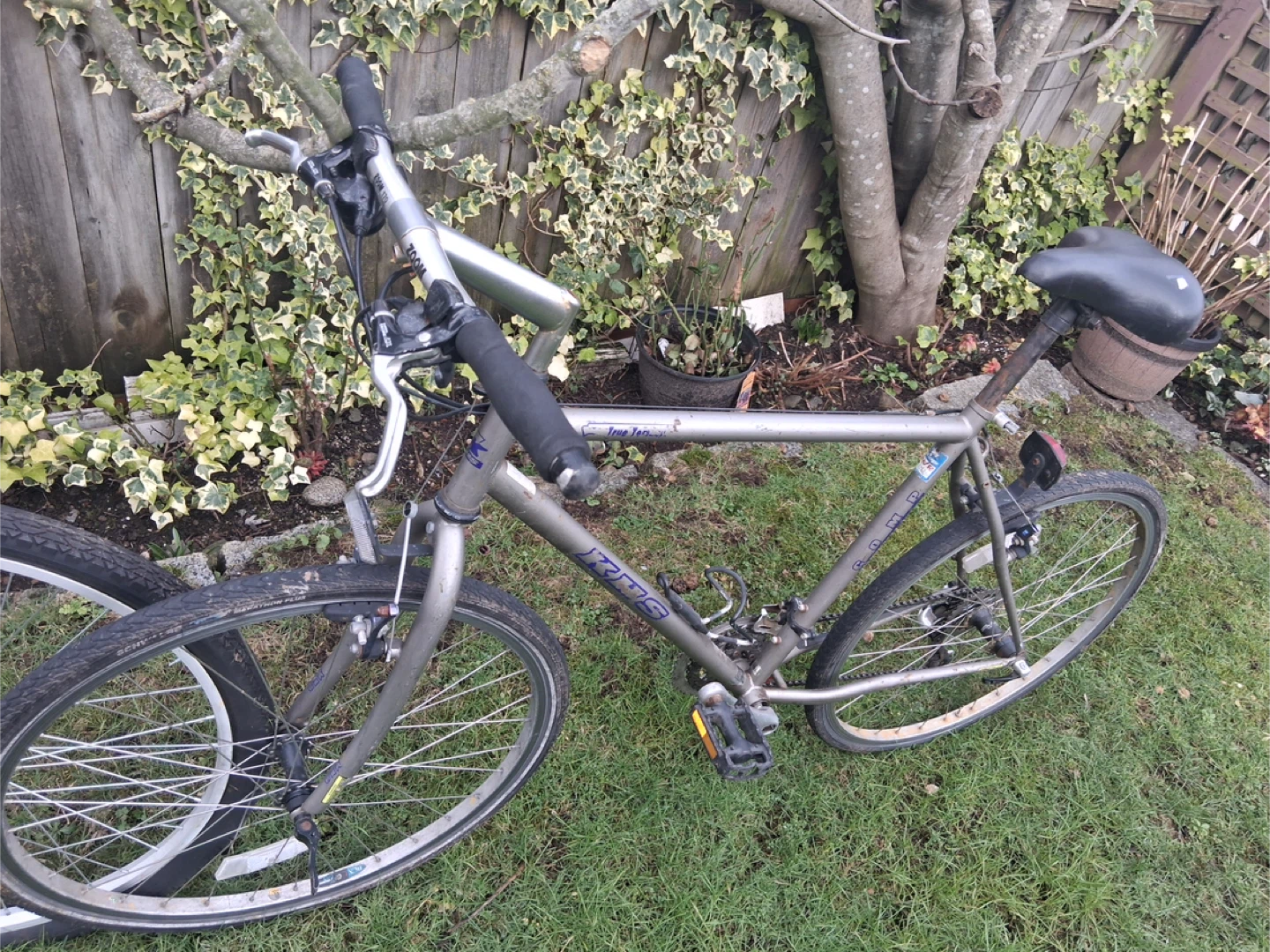 Majestic 8-Speed Cruiser Bicycle