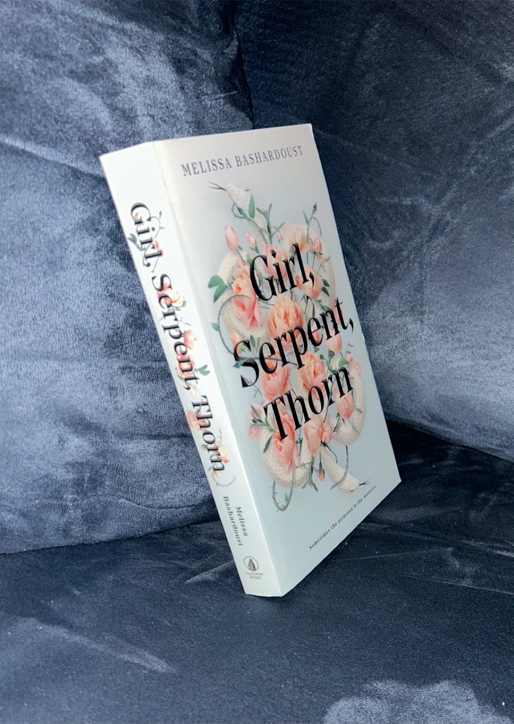 Girl, Serpent, Thorn by Melissa Bashardoust Book - photo 2