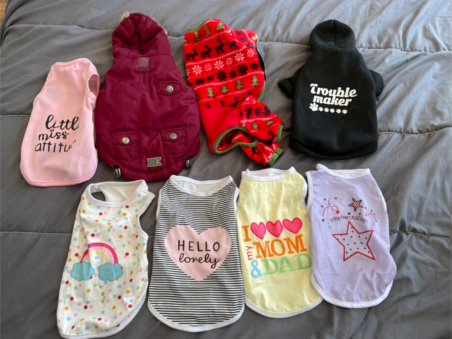 10” (5-8lbs) Dog Clothes Lot