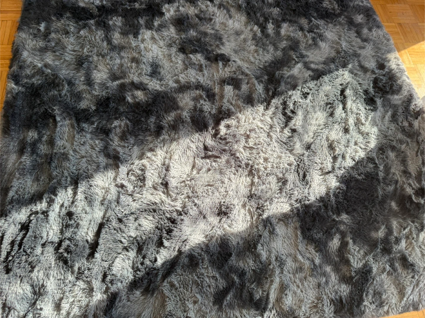 Wayfair Grey Velvet Sofa with Carpet - photo 3
