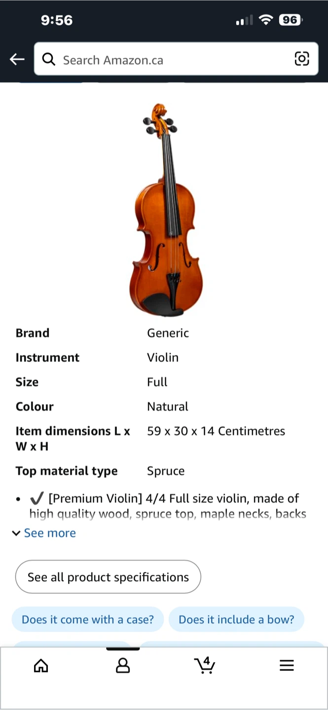 Generic Full Size Violin