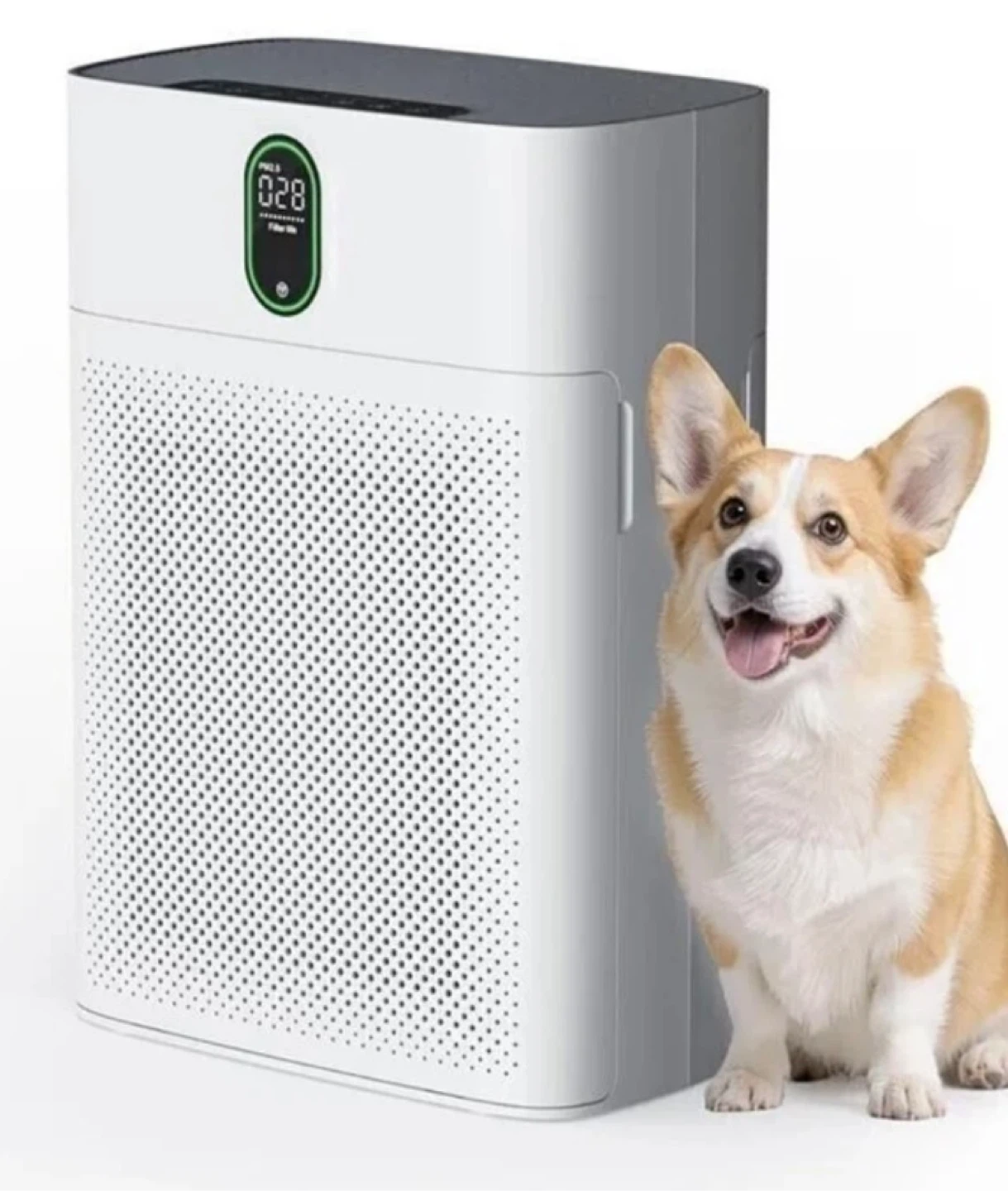 Air Purifier with HEPA Filter and PM 2.5 Display - photo 4