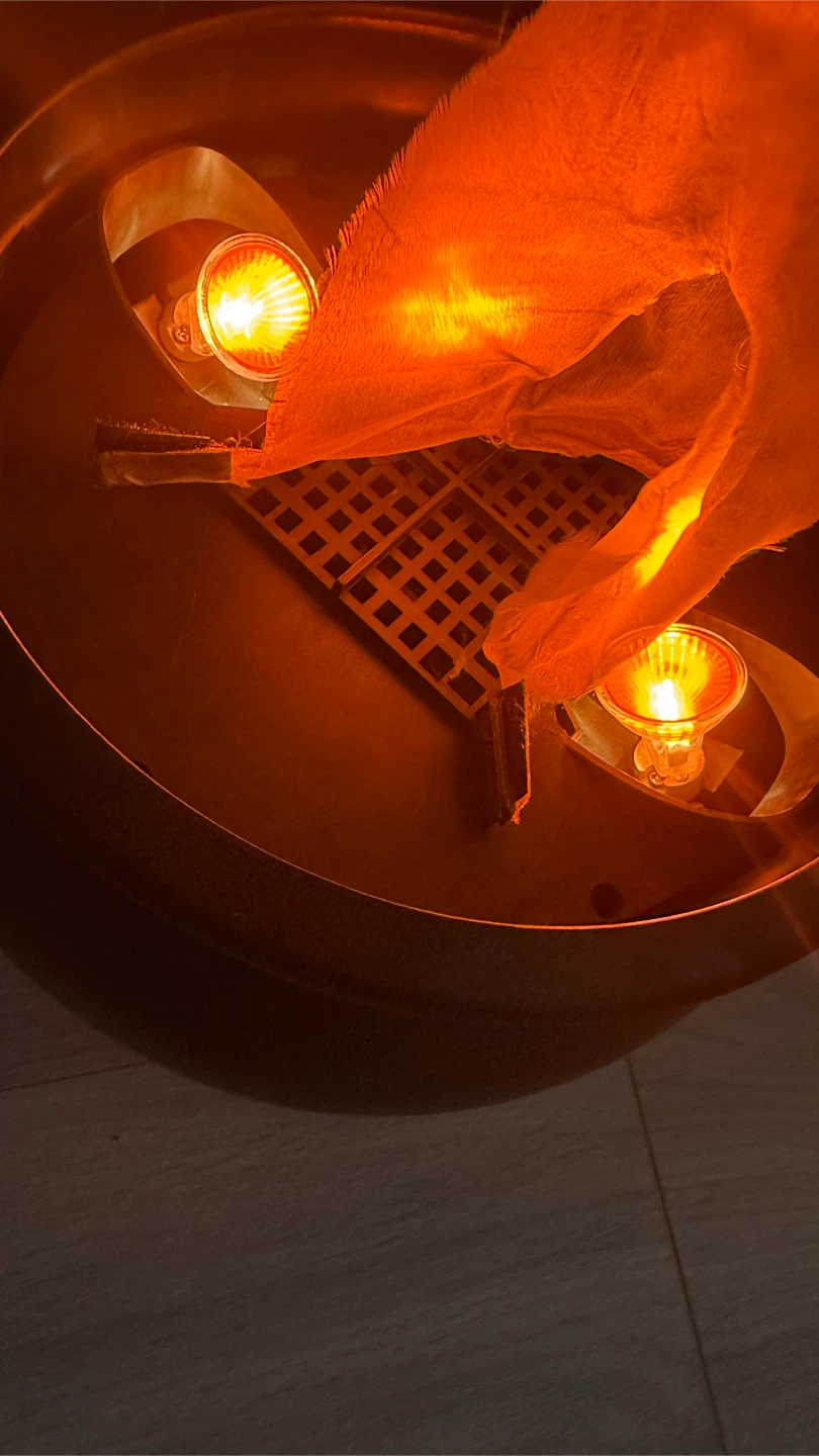 VINTAGE Halloween Cauldron Flame Lite Up Flicker Glow Spooky - photo 3