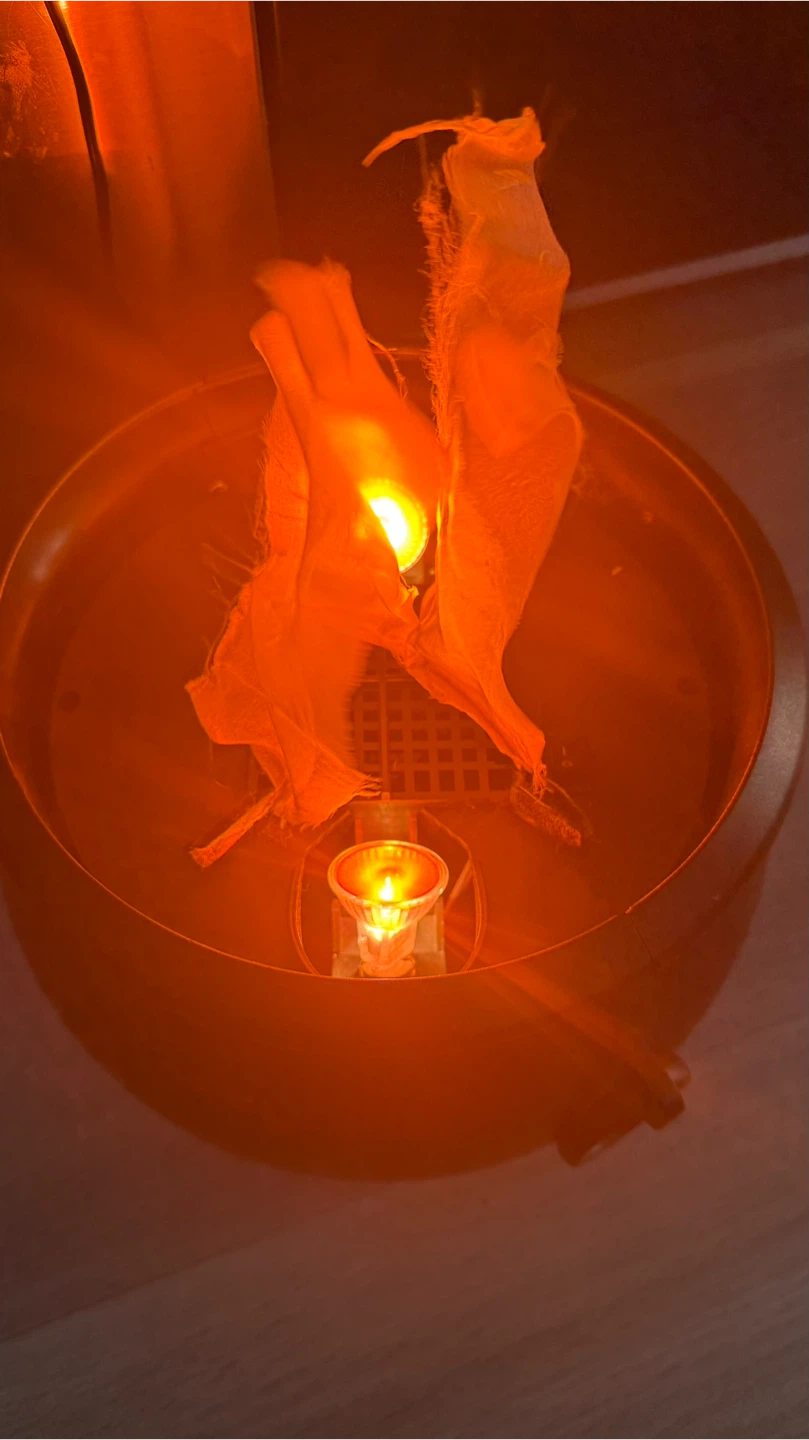 VINTAGE Halloween Cauldron Flame Lite Up Flicker Glow Spooky - photo 4