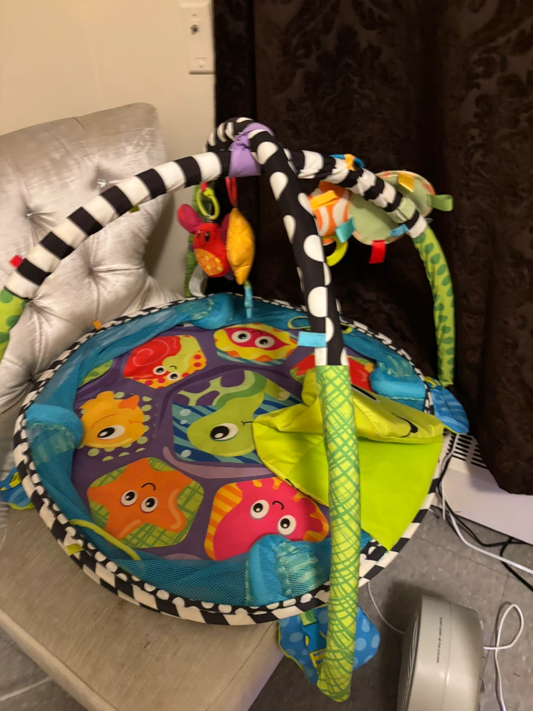 Newborn playgym/Kids II Play Activity Gym