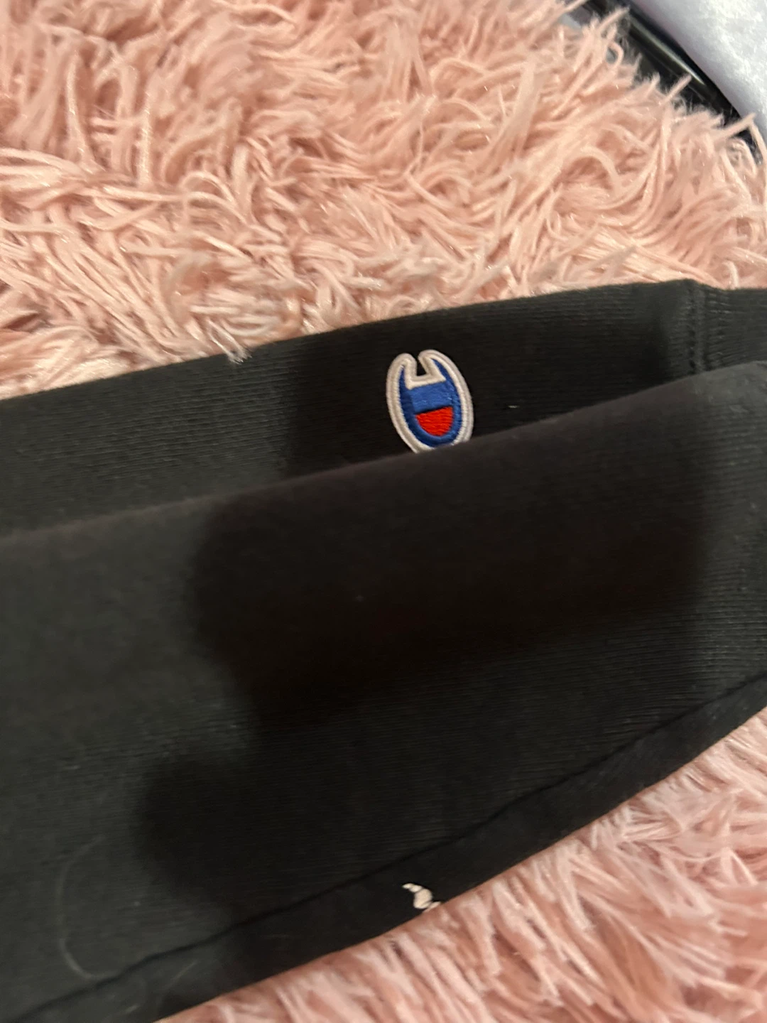 Champion Reverse Weave Hoodie🏆 - photo 4