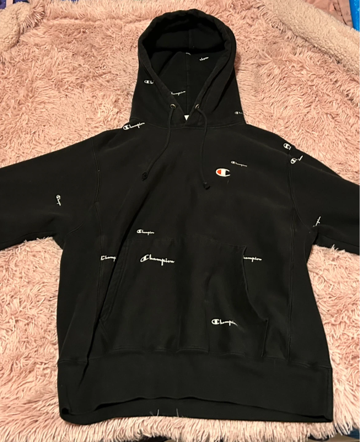 Champion Reverse Weave Hoodie🏆