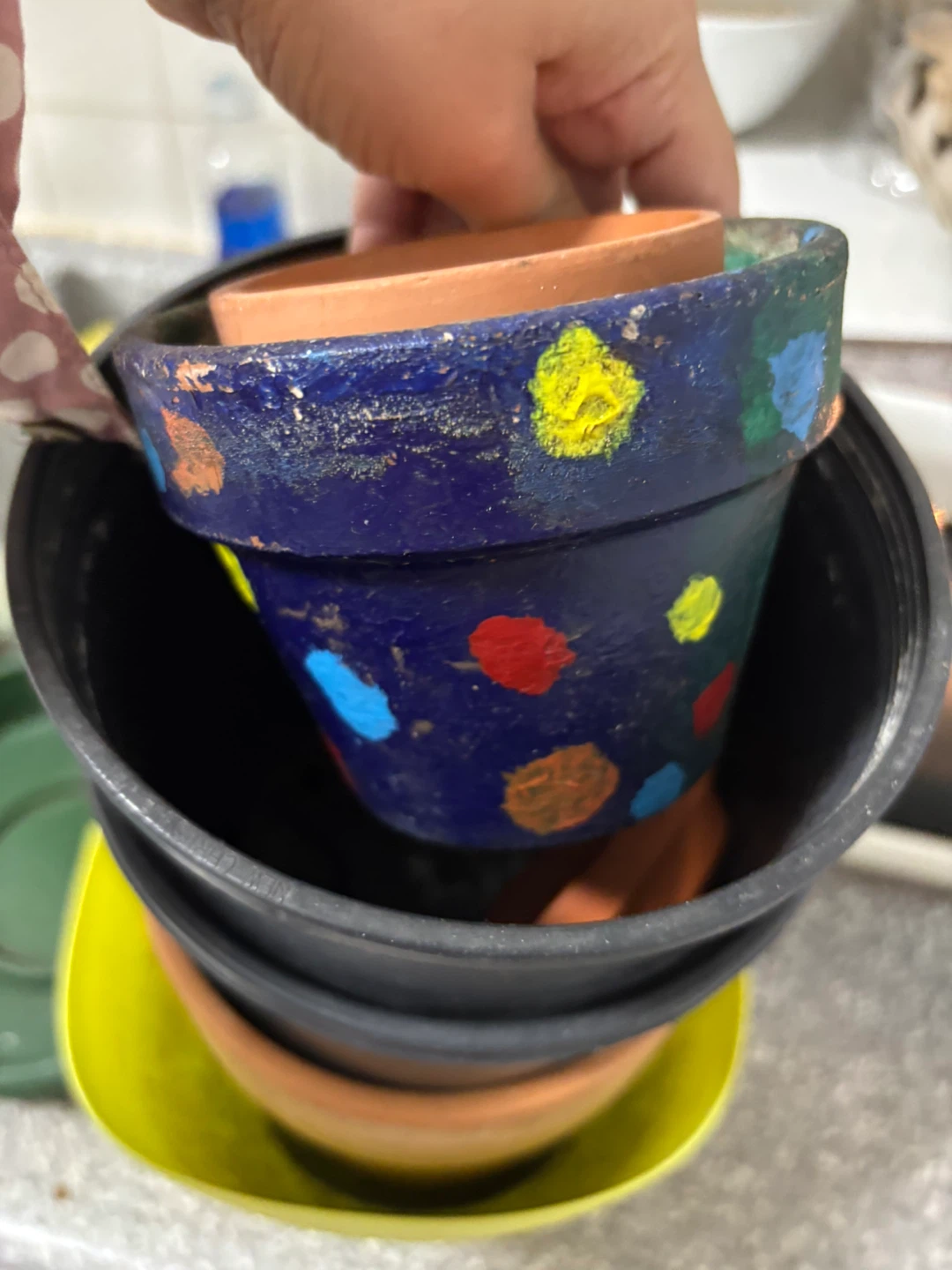 Assorted Plant Pots