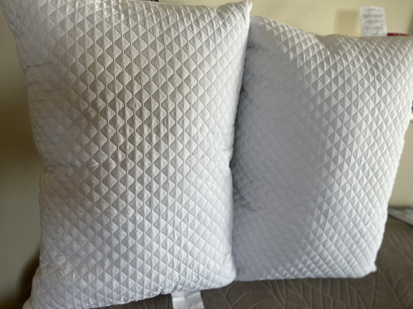 Sleep Country Travel Pillow-have 2-price of Each
