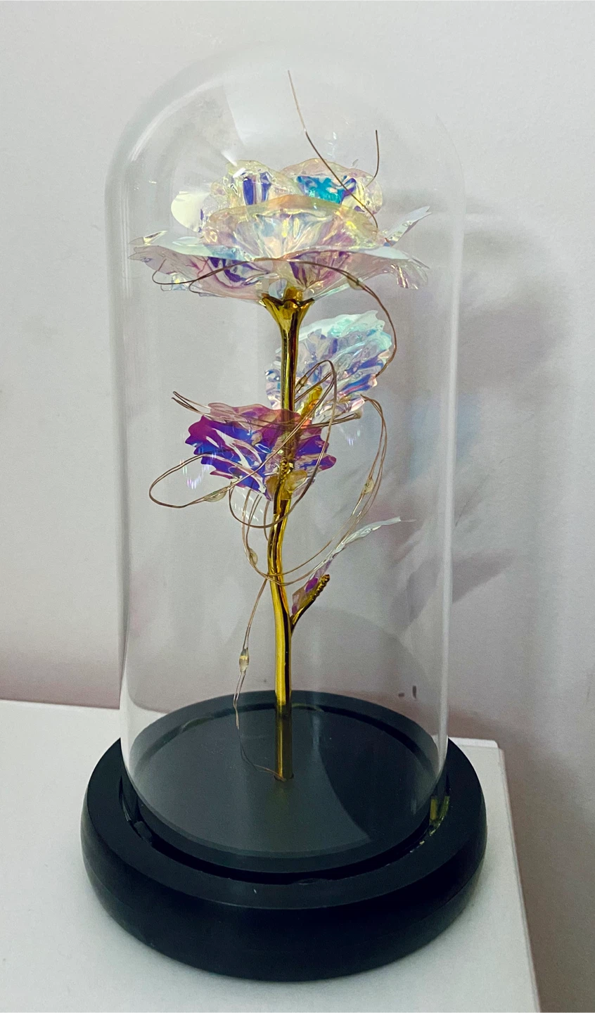Galaxy Rose Flower with LED Lights in Glass Dome