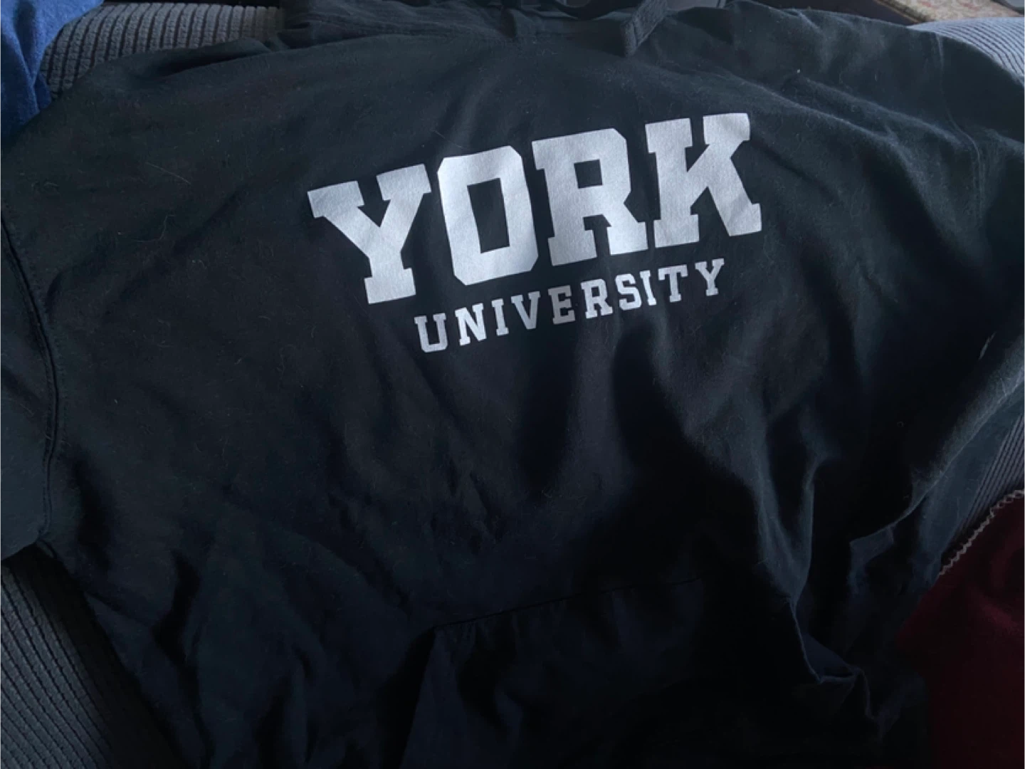 York University Hoodie