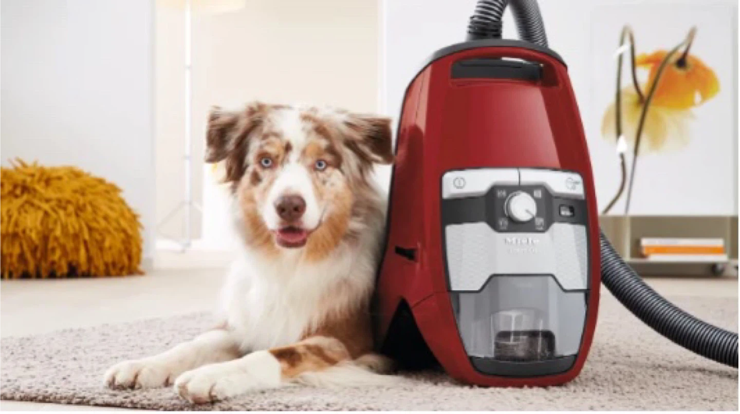 Miele Vacuum CX1- Cat and Dog - photo 5