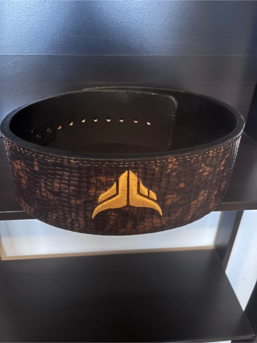 Gym Training Belt