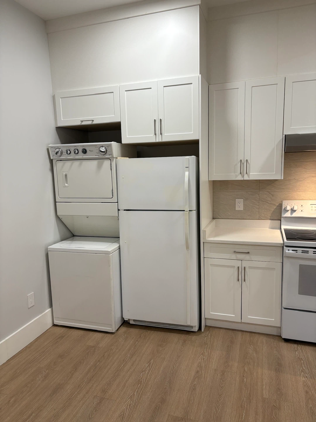 1 Bedroom Basement Suite - photo 5
