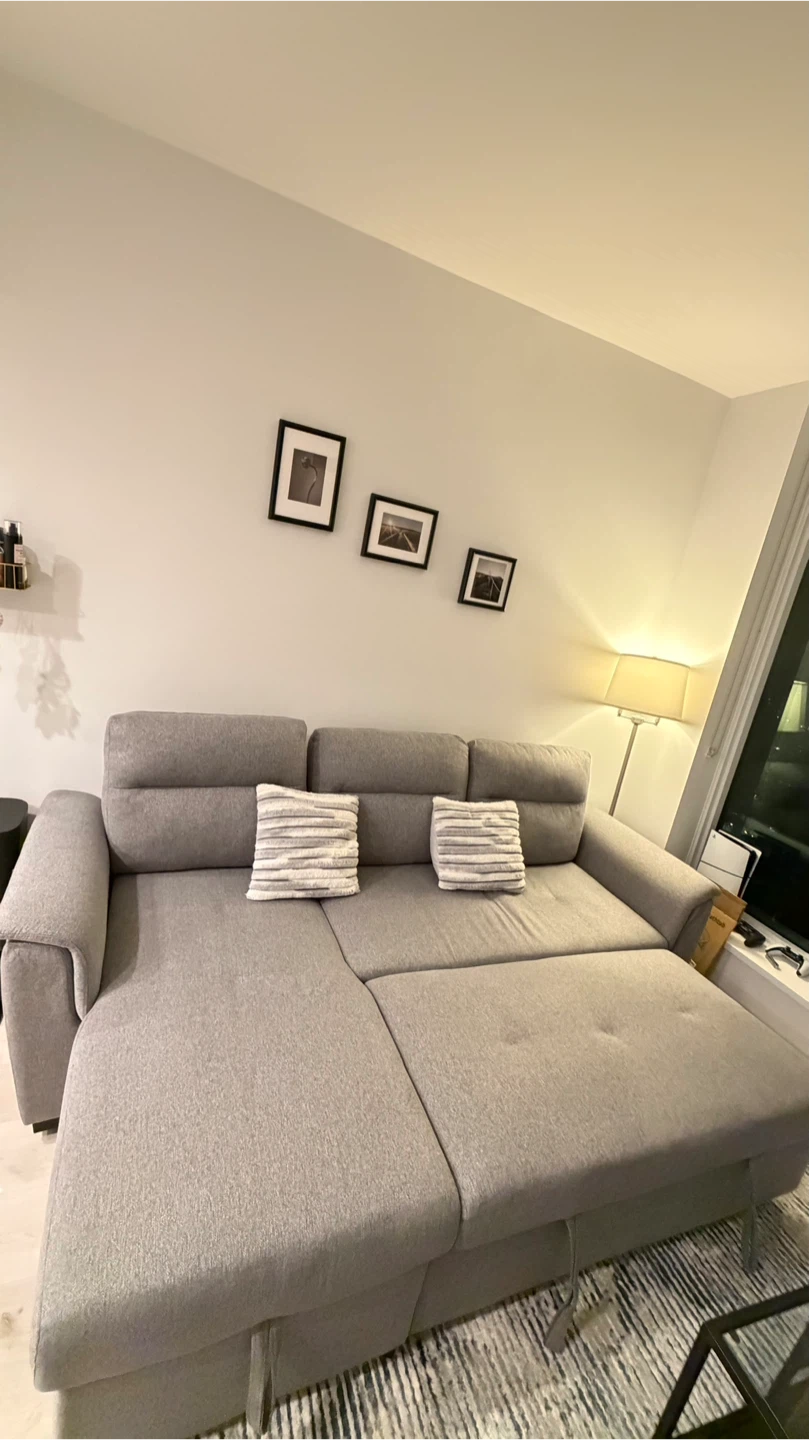Grey Sectional Sofa Bed with Storage - photo 5
