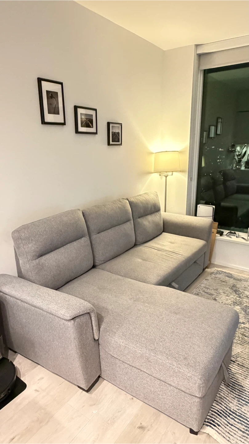 Grey Sectional Sofa Bed with Storage