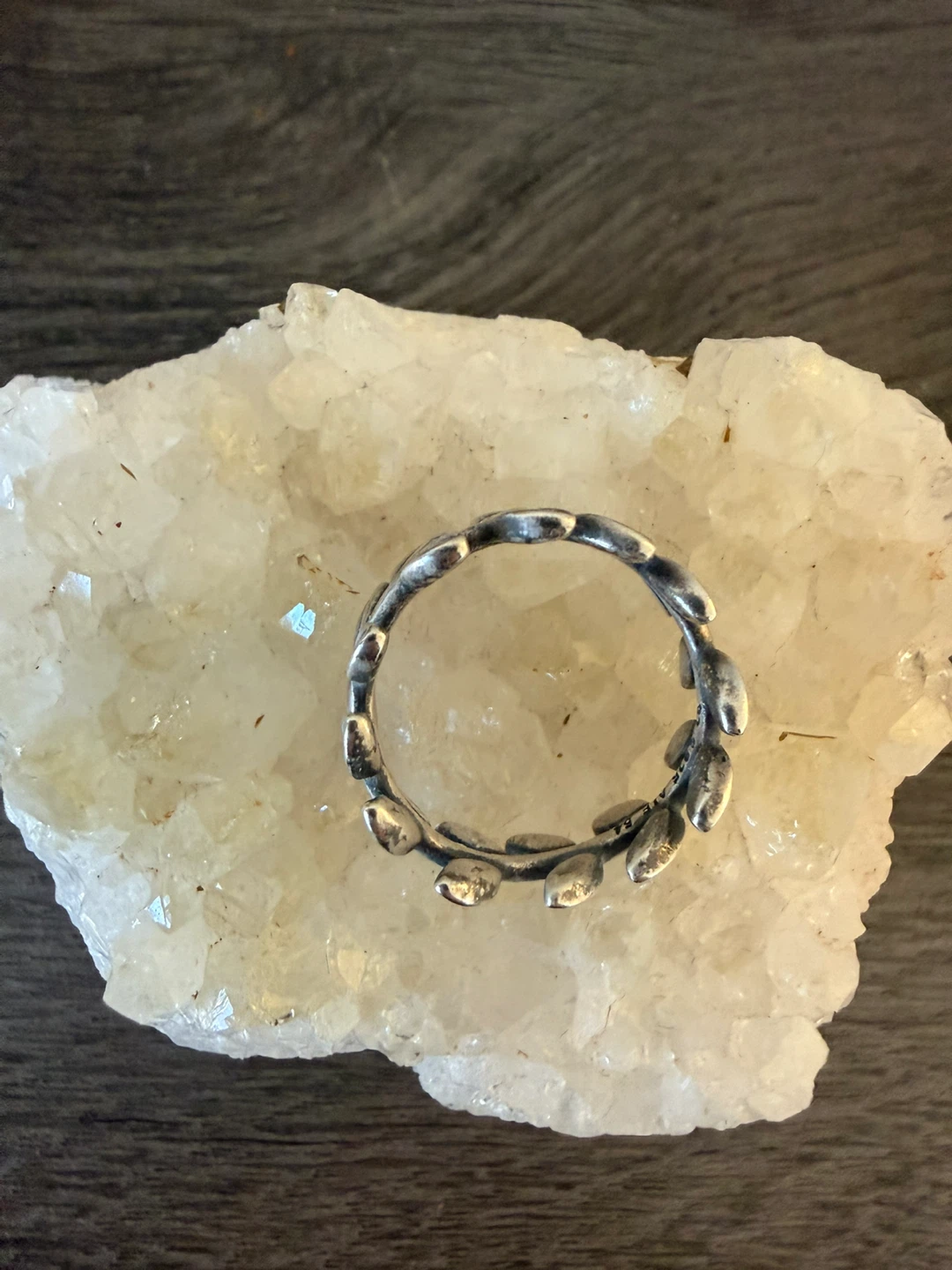 Pandora Silver Leaf Band Ring