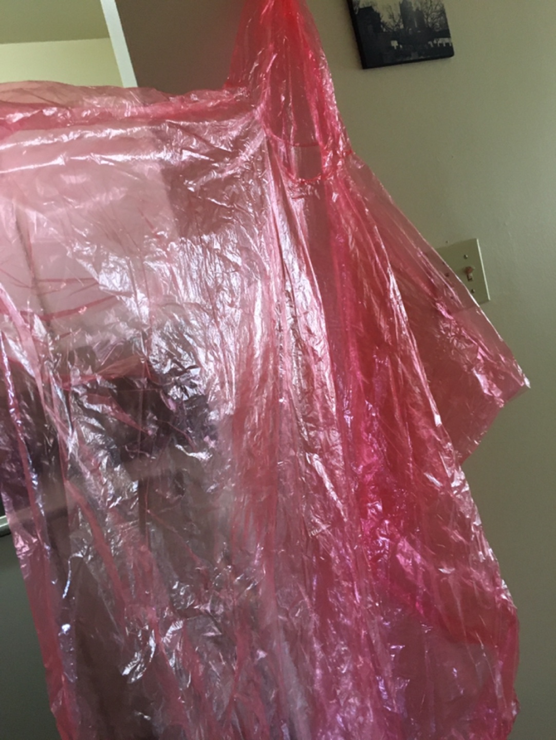 Pink Plastic Poncho - photo 2