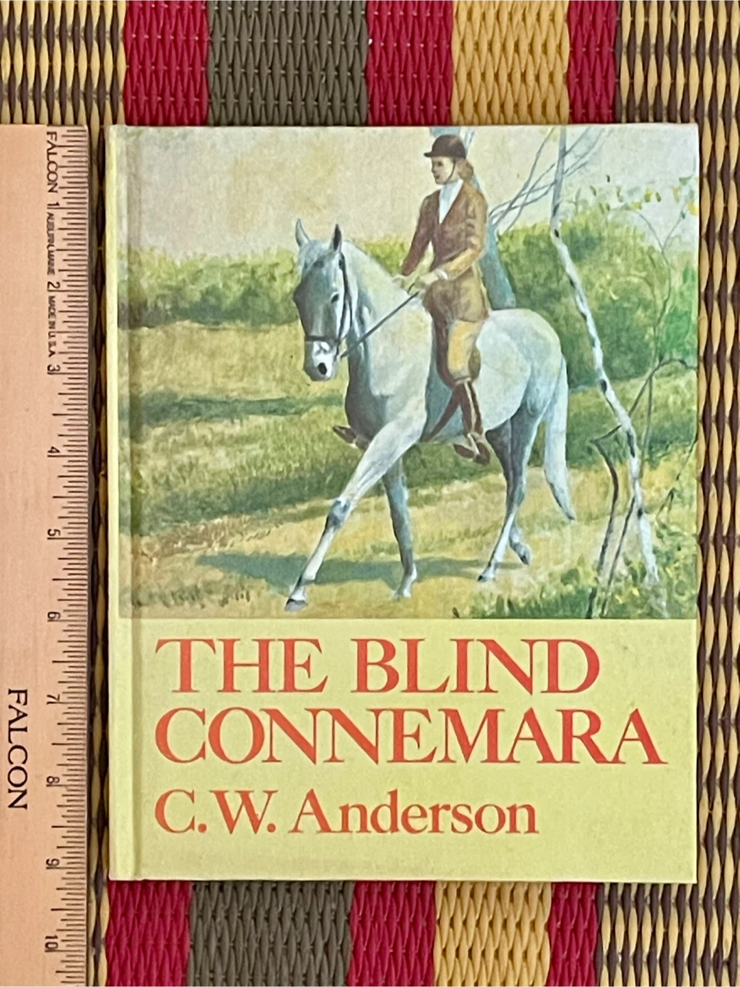 🏆The Blind Connemara by C.W. Anderson Book