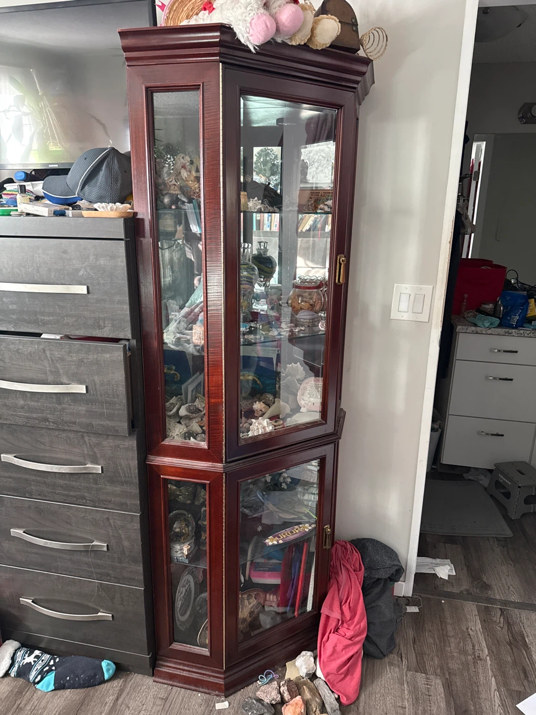 Corner Curio Display Cabinet