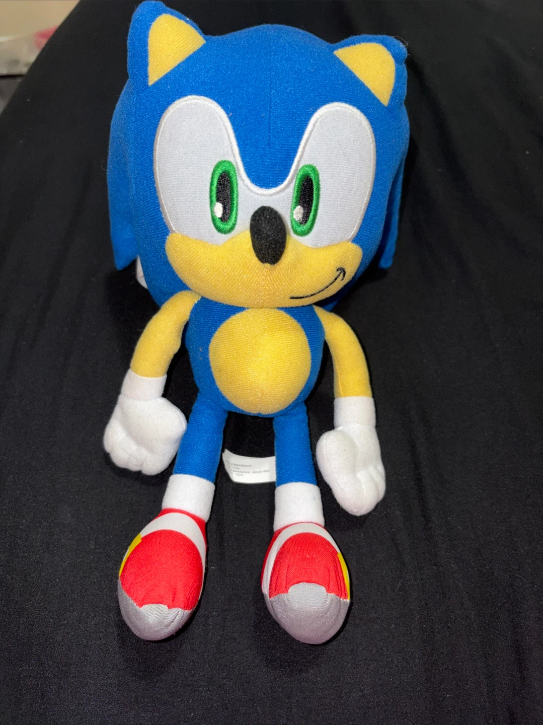 Sonic the Hedgehog Plush Toy
