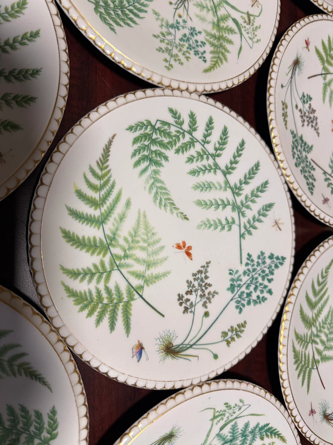 Set of 12 Decorative Plates - Botanical Fern & Insect Design - photo 3